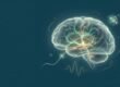 Parkinson neue Therapien: stilisiertes Gehirn mit Nervenbahnen, Zellen und Elektrode als Symbol der Forschung