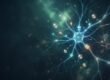Vitamin B3 bei Parkinson: Nervenzellen und Vitaminkapseln als Symbol für die NOPARK-Studie