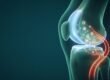 Bewegung bei Arthrose: Kniegelenk mit Knorpel und Botenstoff-Bläschen aus dem Blut